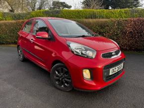 KIA PICANTO 2015 (65) at Eastwood Motors Ltd Lisburn